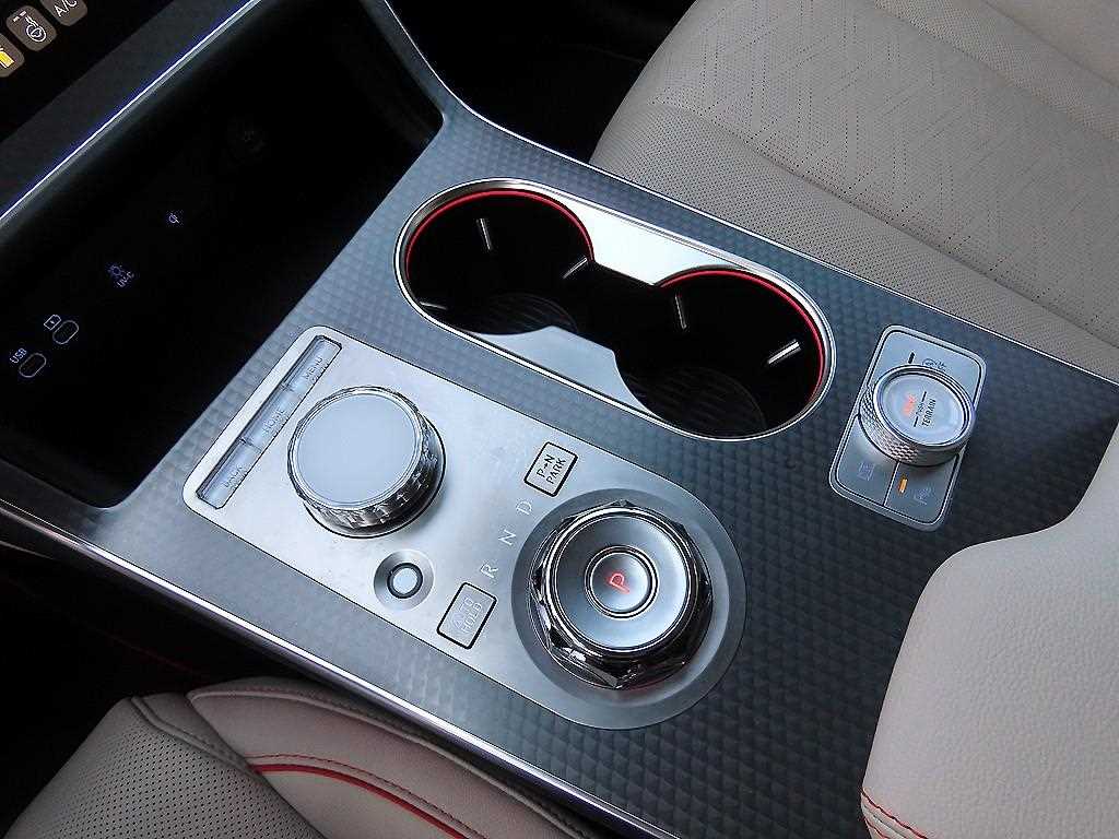 Genesis GV80 - Vista 10