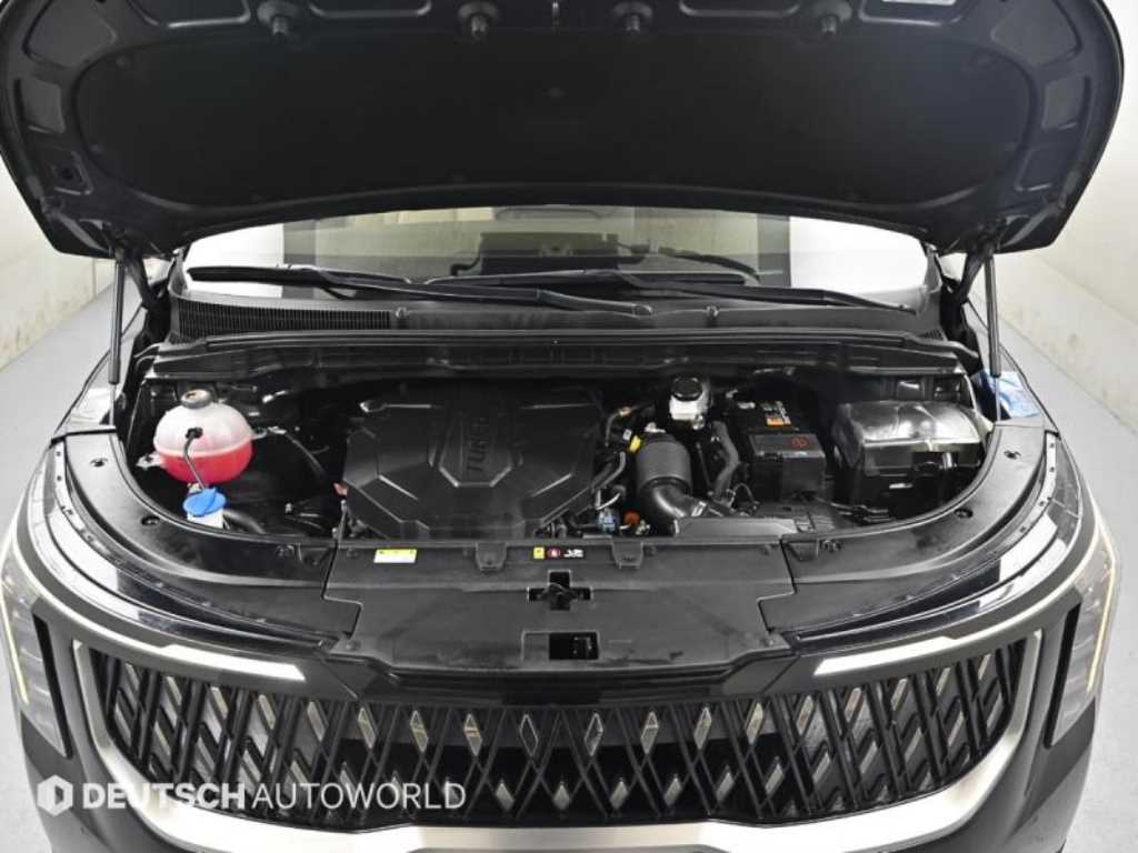 KIA Carnival - Vista 6