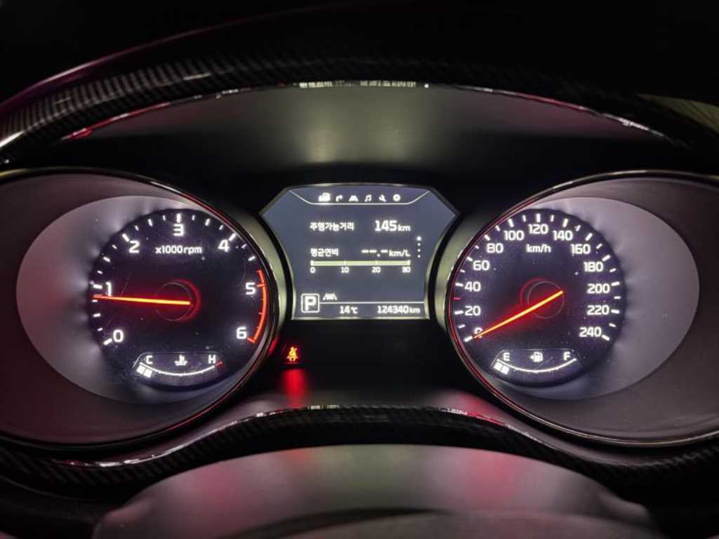 KIA Carnival - Vista 11