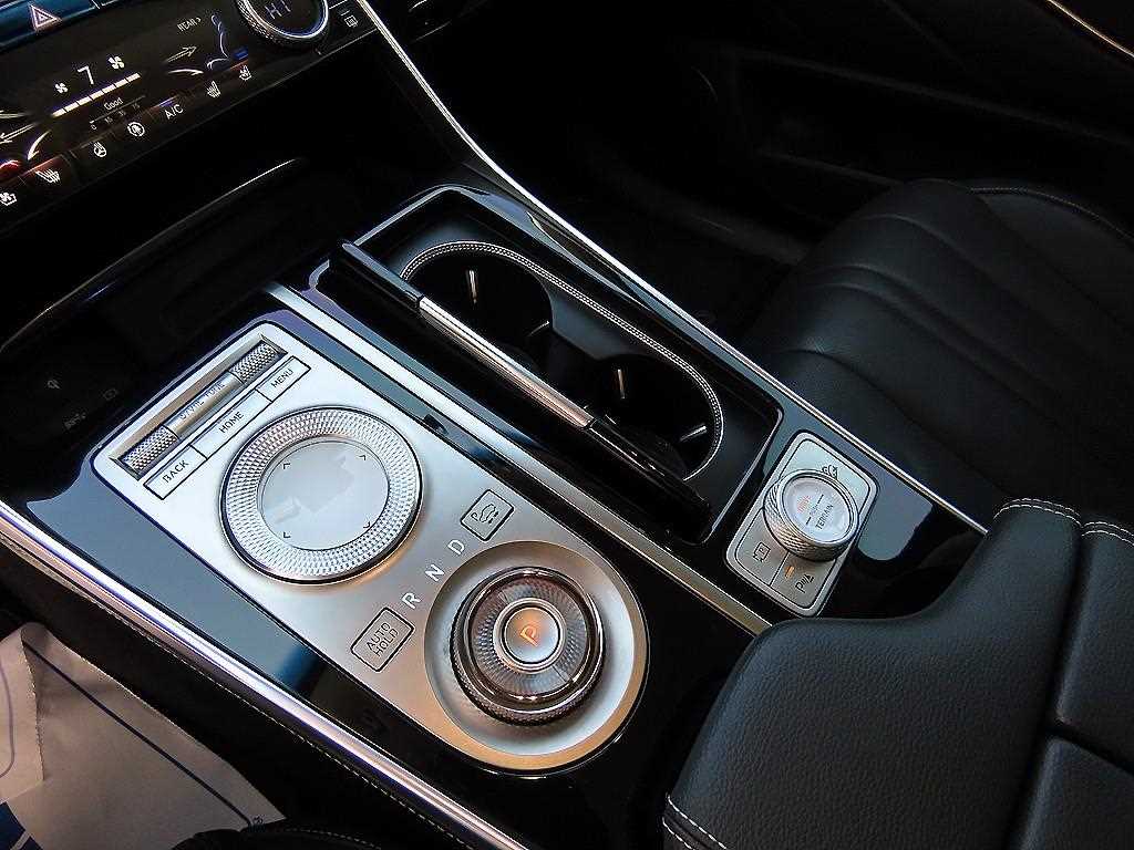 Genesis GV80 - Vista 10