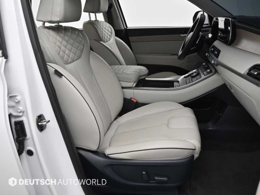 HYUNDAI Palisade - Vista 10