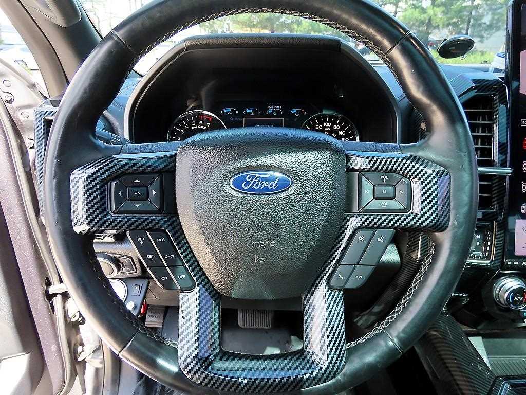 Ford F-Series - Vista 10