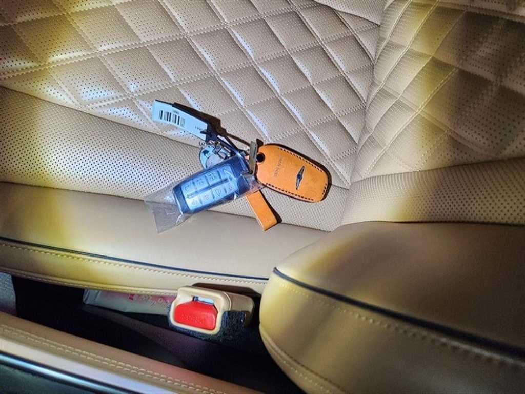 Genesis GV80 2020 Blanco - Importación desde Corea - HF Imports Iquique - Foto 13