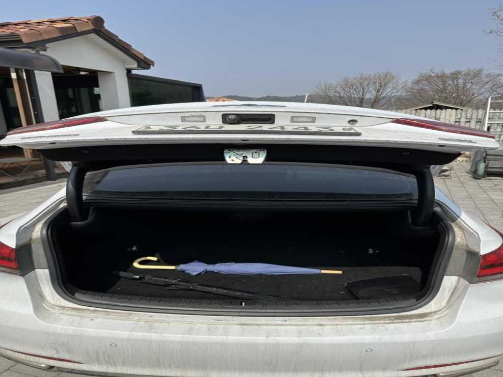 HYUNDAI Genesis - Vista 5