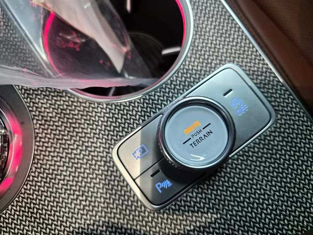 Genesis GV80 - Vista 12