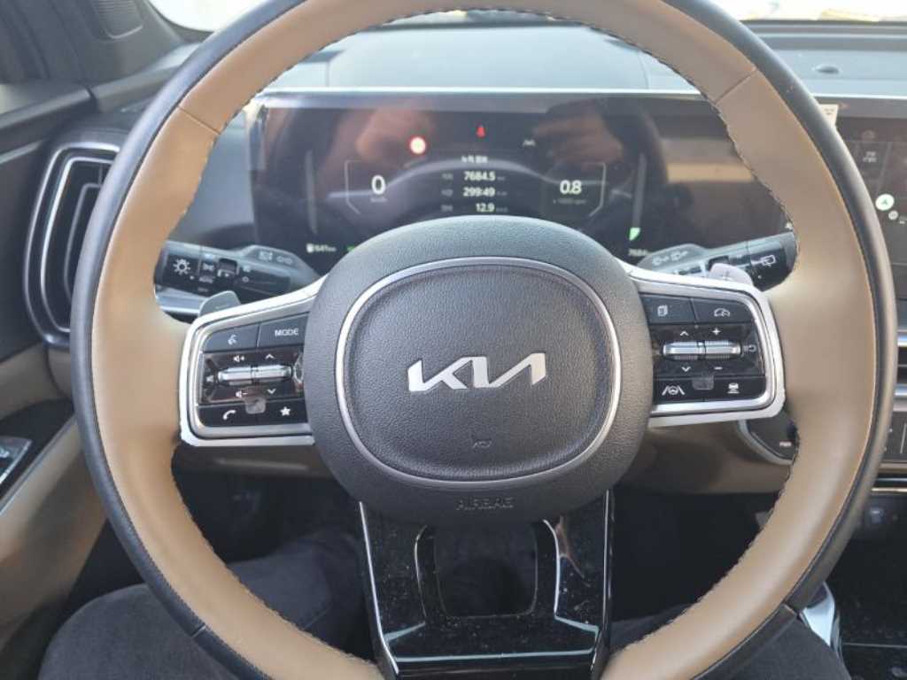 KIA Sorento - Vista 12