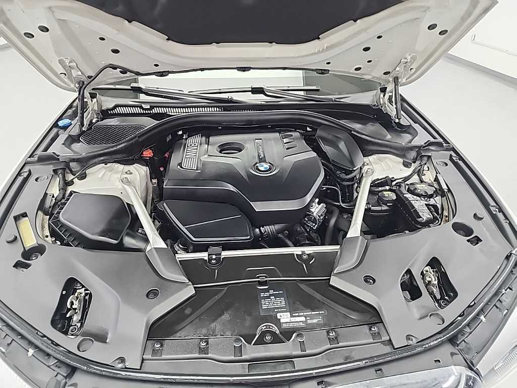 BMW 5 Series - Vista 5