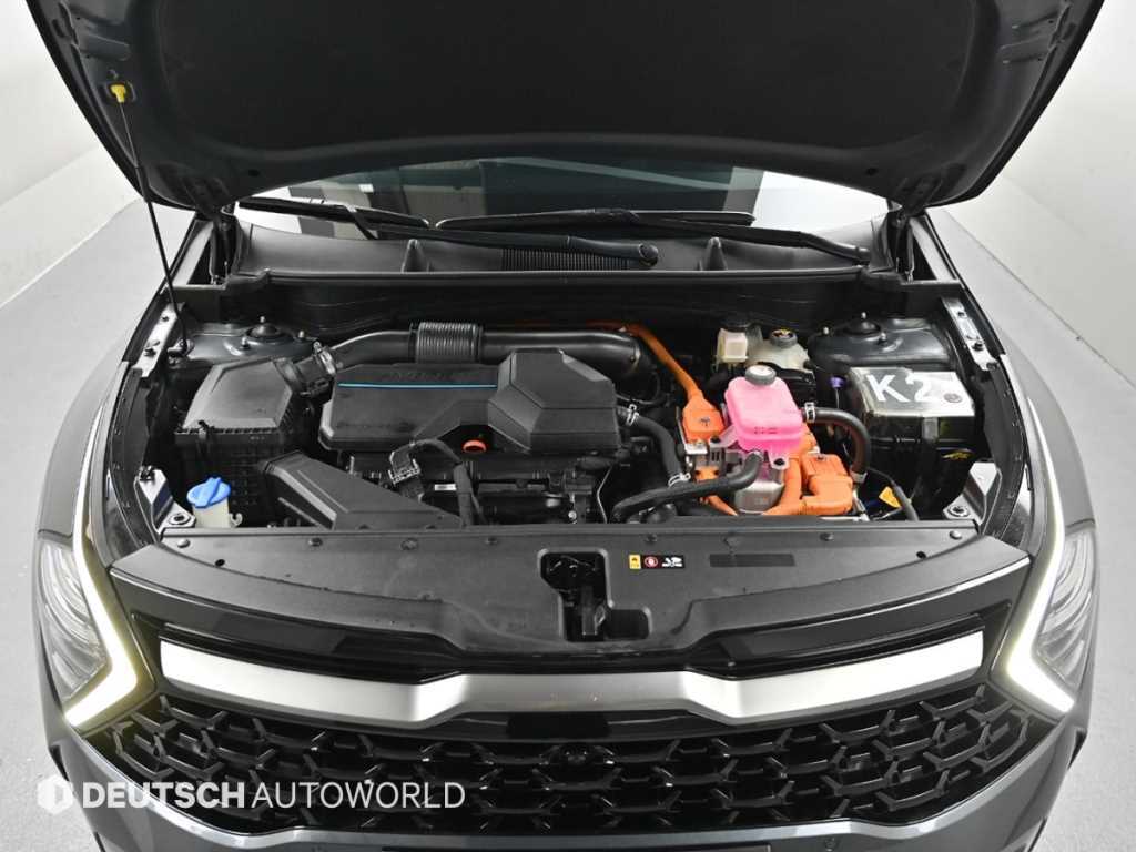 KIA Sportage - Vista 6