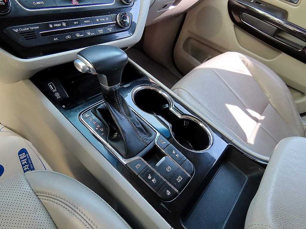 KIA Carnival - Vista 11