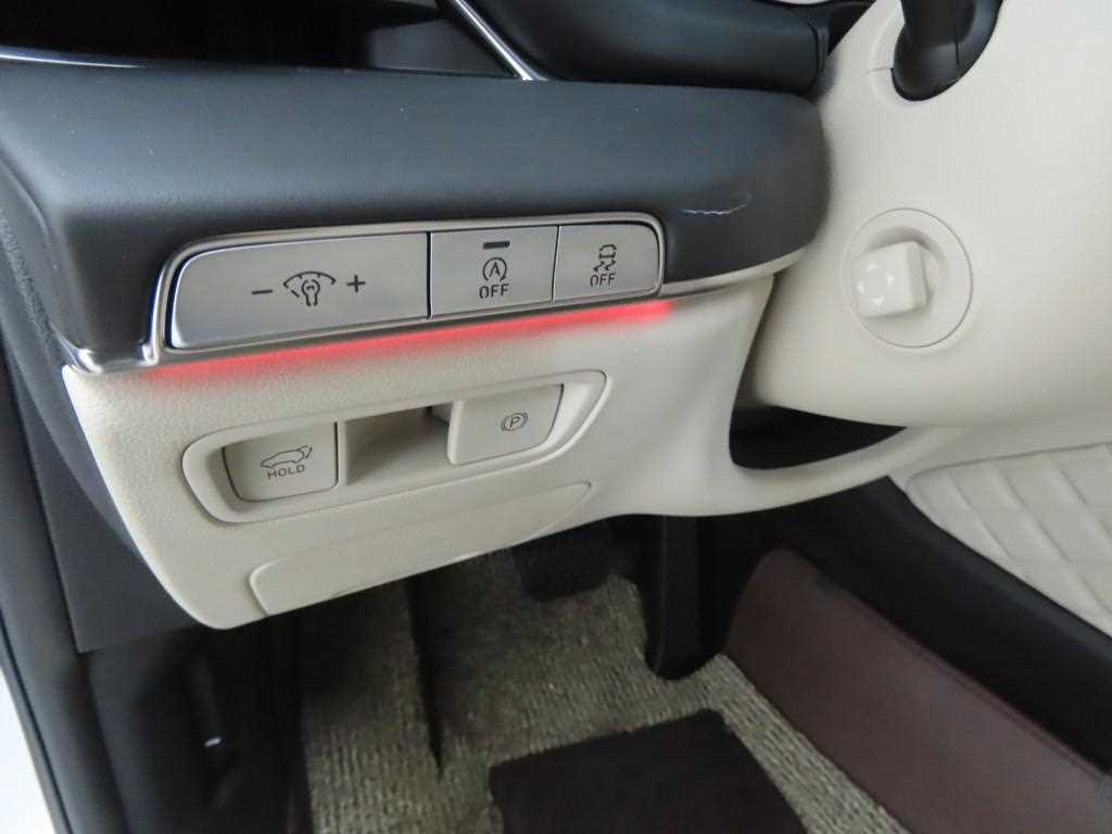 Genesis GV80 - Vista 10