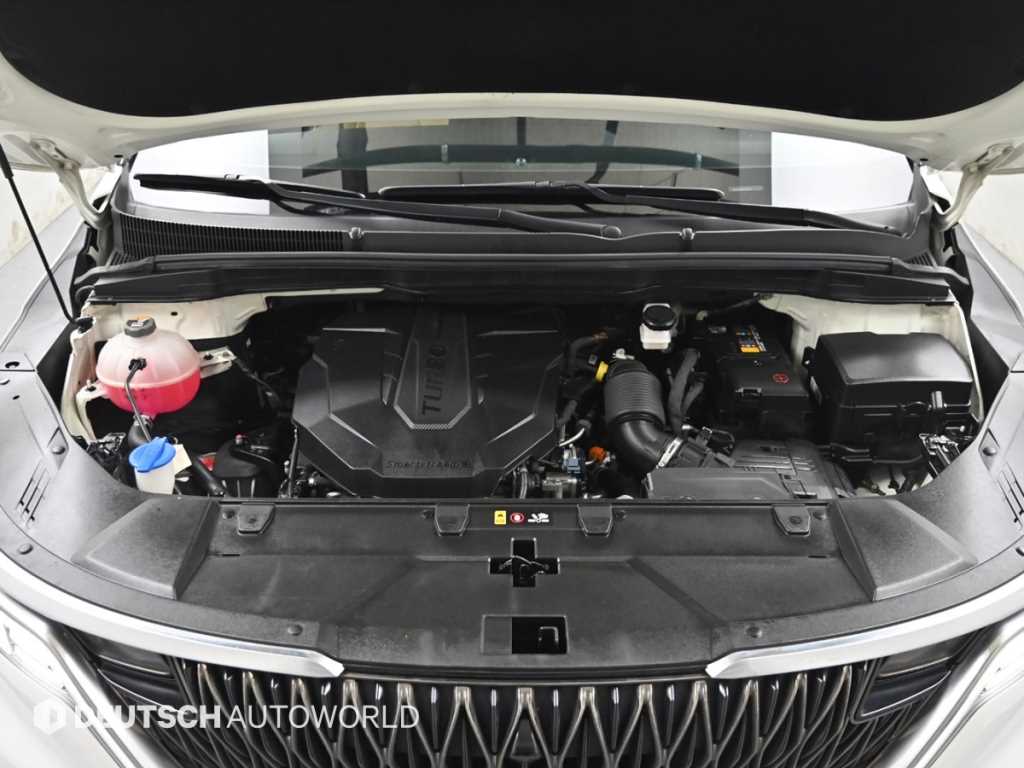 KIA Carnival - Vista 6