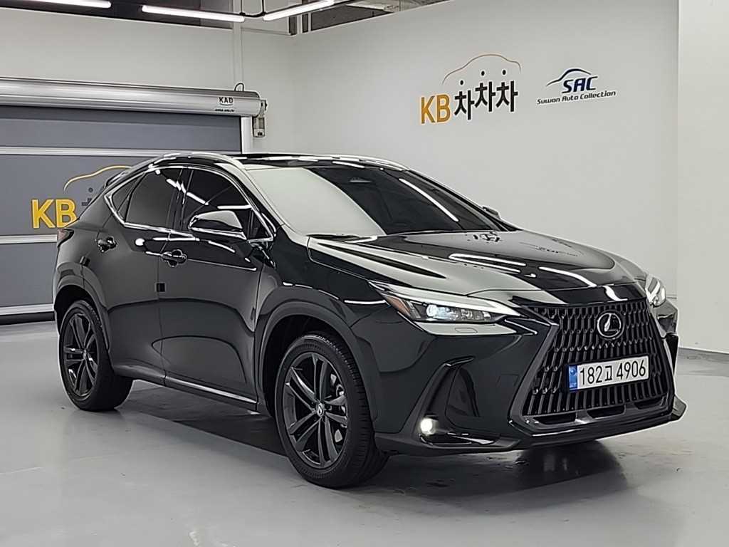 Lexus NX - Vista 4