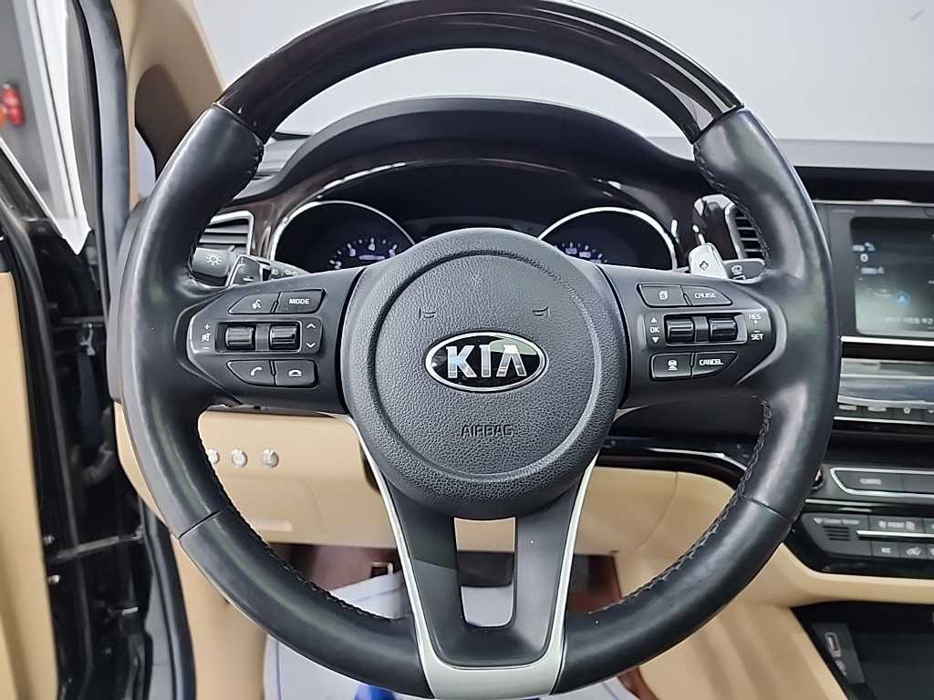 KIA Carnival - Vista 9