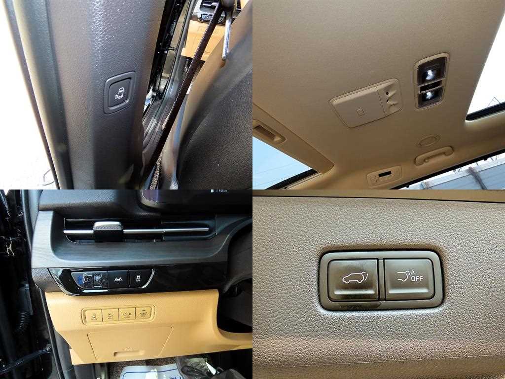 KIA Carnival 2022 Negro - Importación desde Corea - HF Imports Iquique - Foto 18