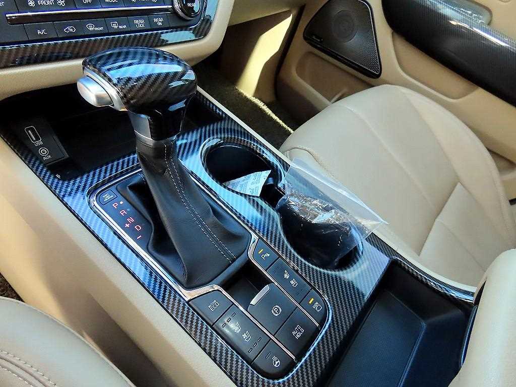 KIA Carnival - Vista 10