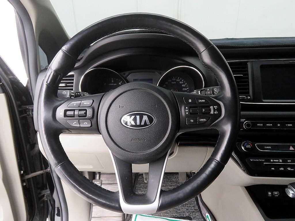 KIA Carnival - Vista 10