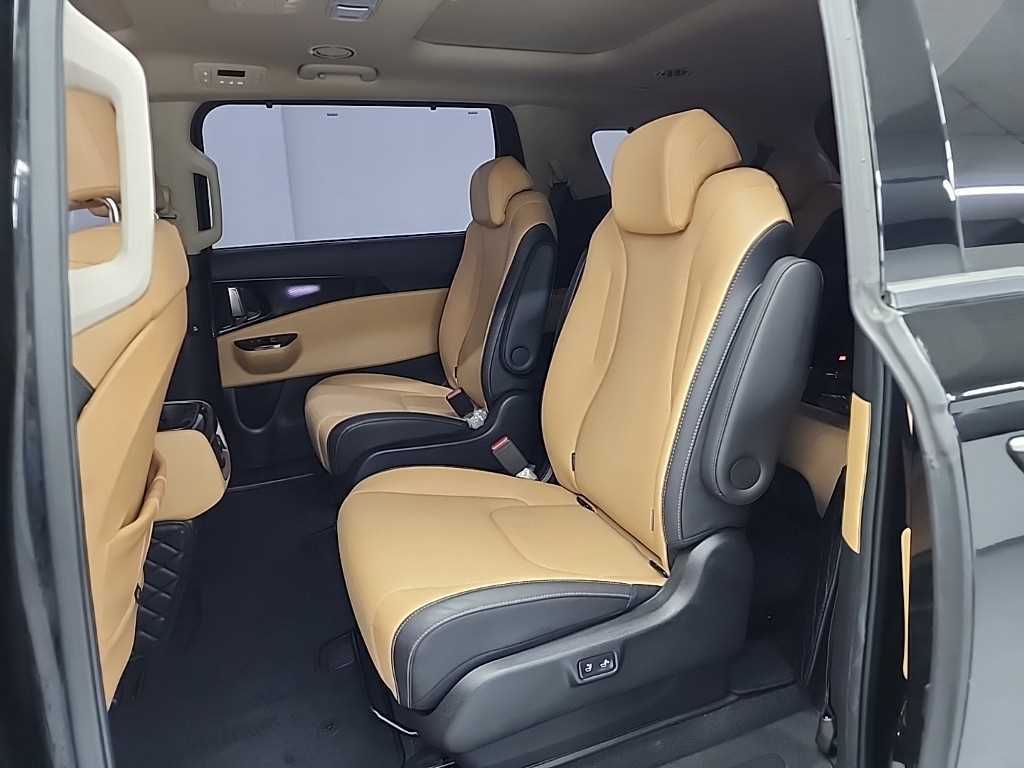 KIA Carnival - Vista 12