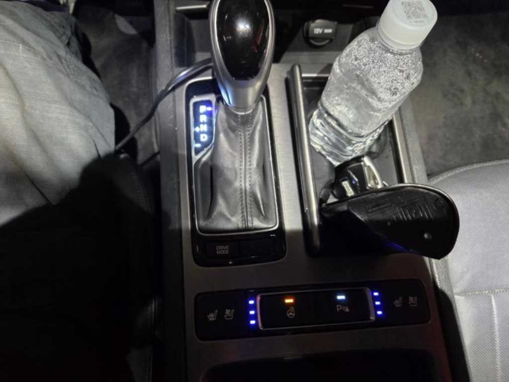 HYUNDAI Genesis - Vista 8