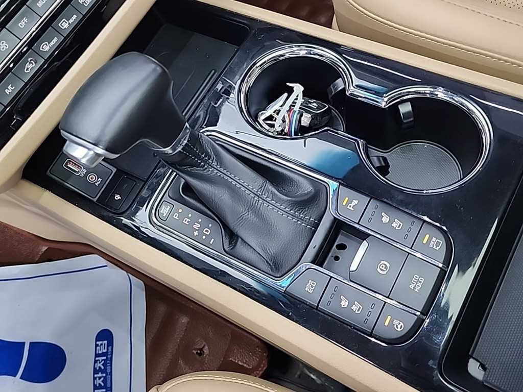 KIA Carnival - Vista 8