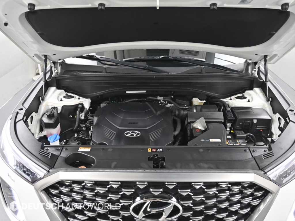 HYUNDAI Palisade - Vista 6