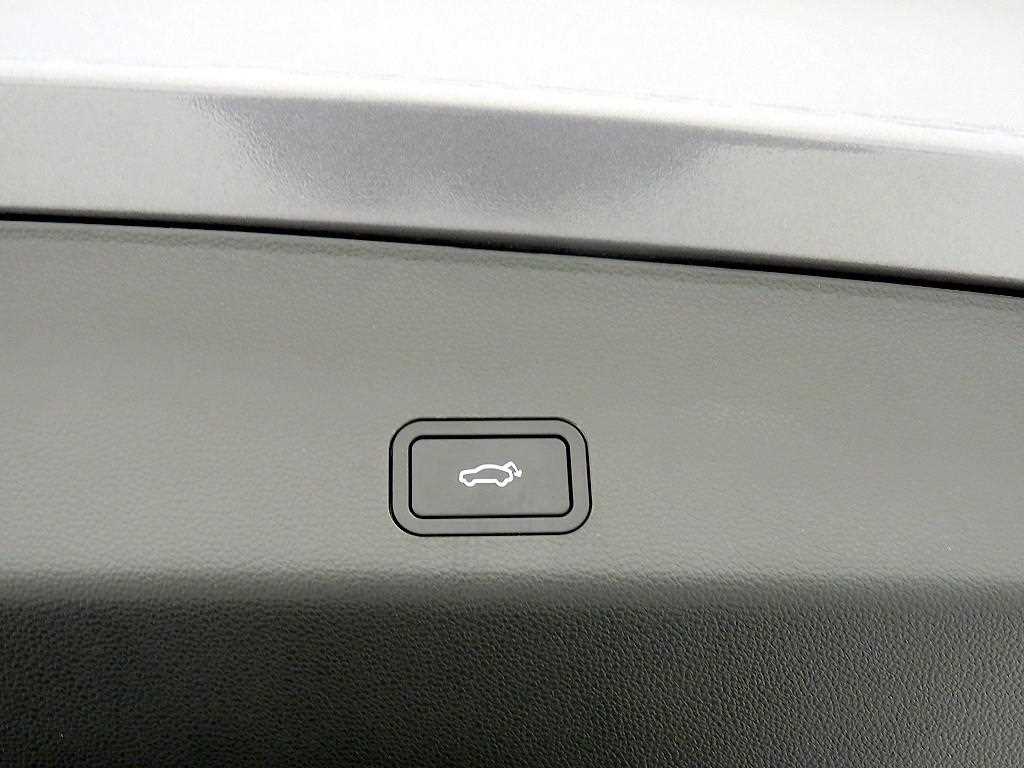 SAMSUNG Grand Koleos - Vista 6