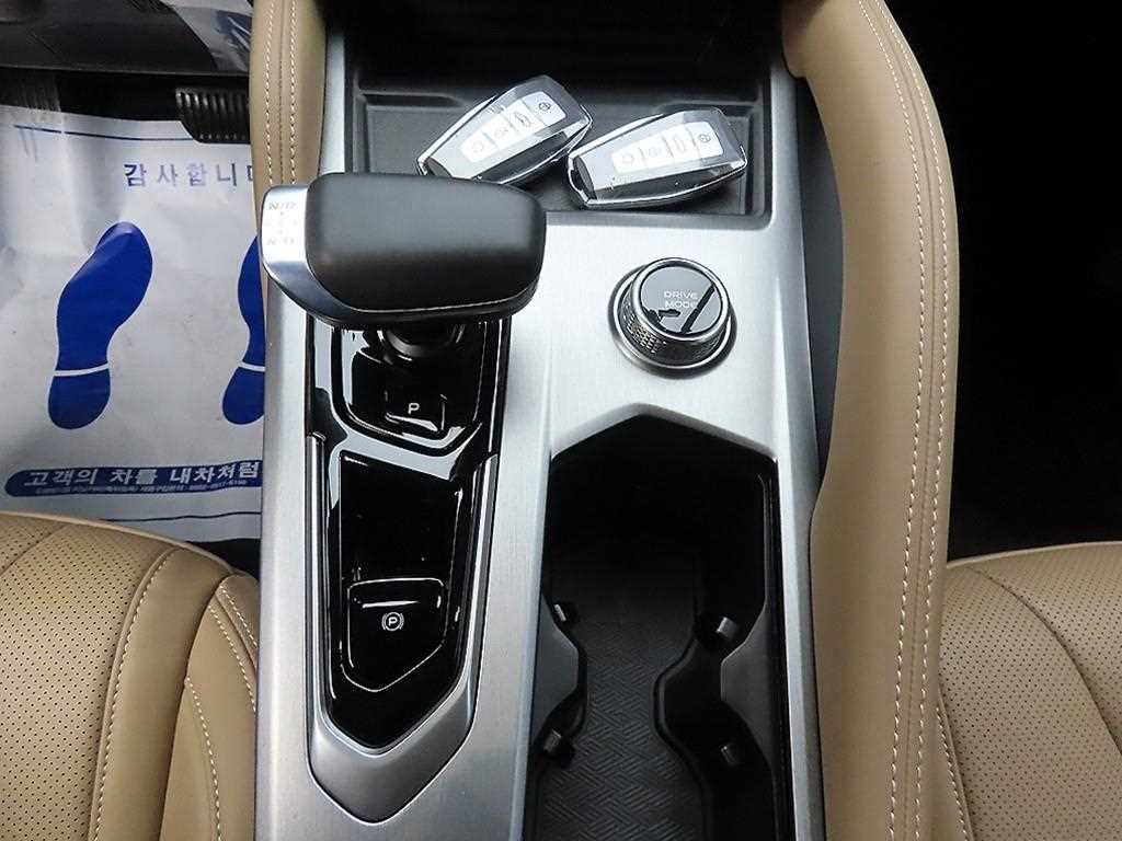 SAMSUNG Grand Koleos - Vista 10