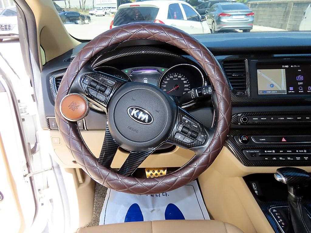 KIA Carnival - Vista 8