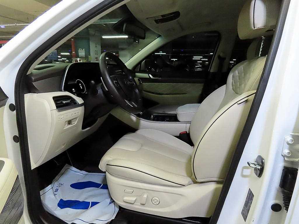 HYUNDAI Palisade - Vista 6