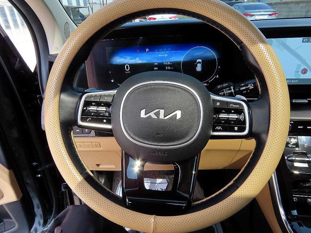 KIA Carnival - Vista 9