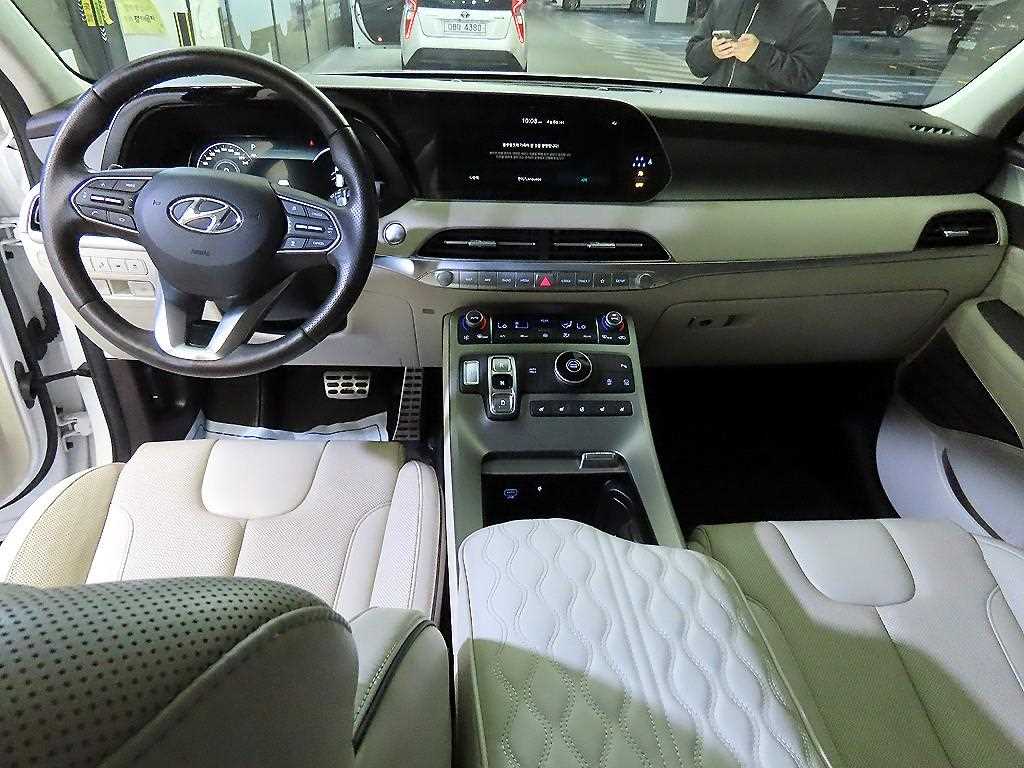 HYUNDAI Palisade - Vista 10