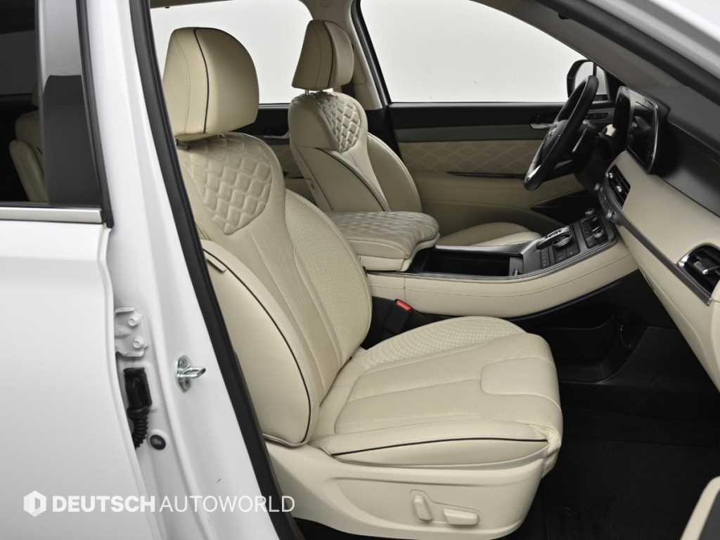 HYUNDAI Palisade - Vista 10