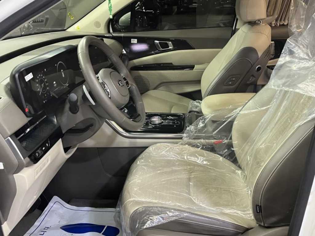 KIA Carnival - Vista 9