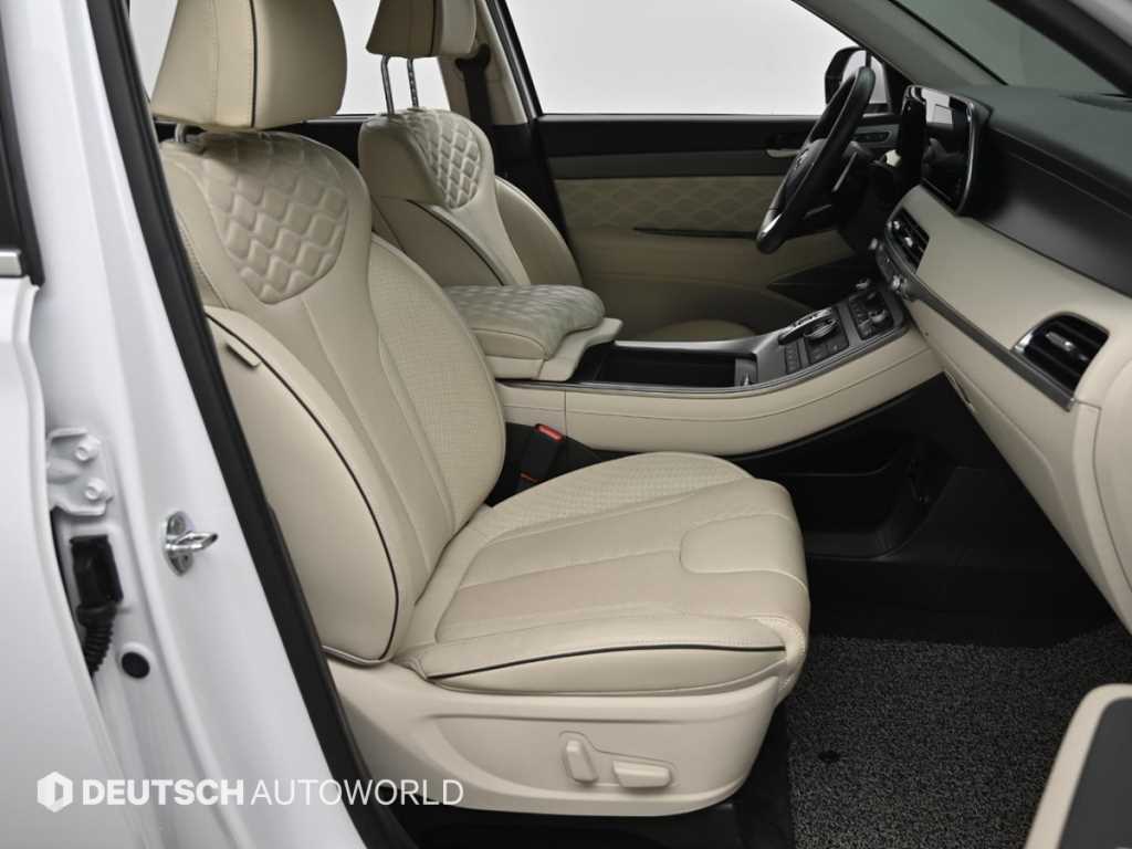 HYUNDAI Palisade - Vista 10