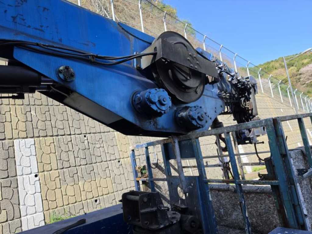 medium and large cargo goso - Vista 11