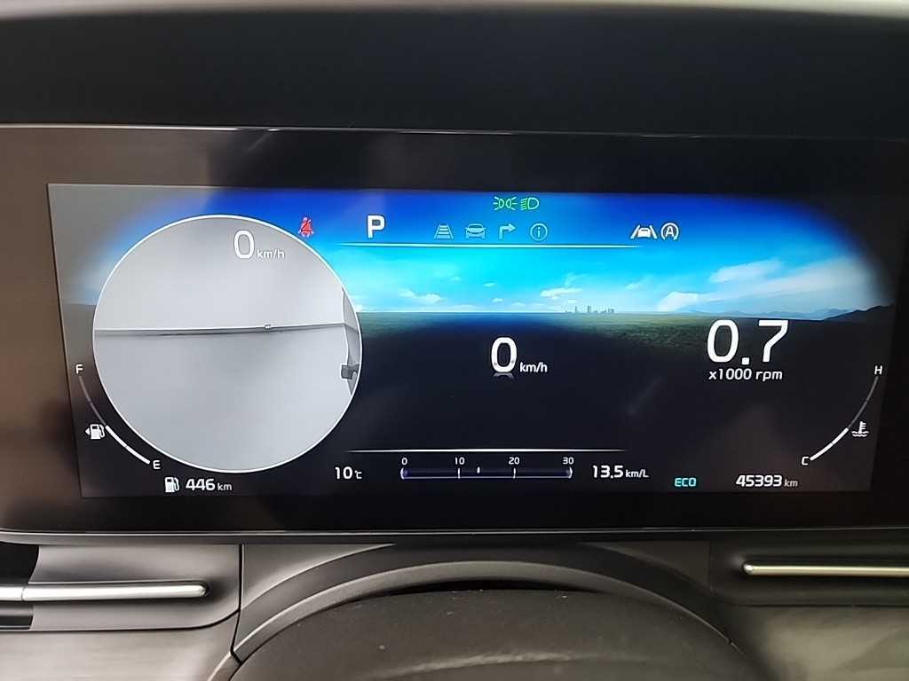 KIA Carnival - Vista 6