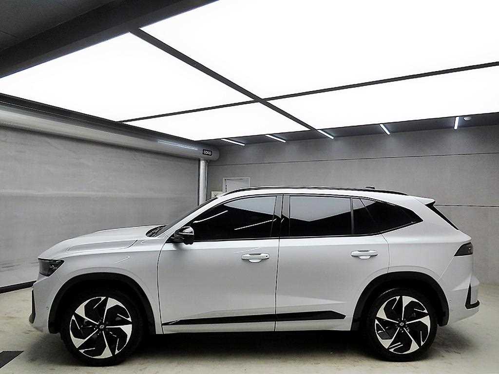 SAMSUNG Grand Koleos - Vista 4