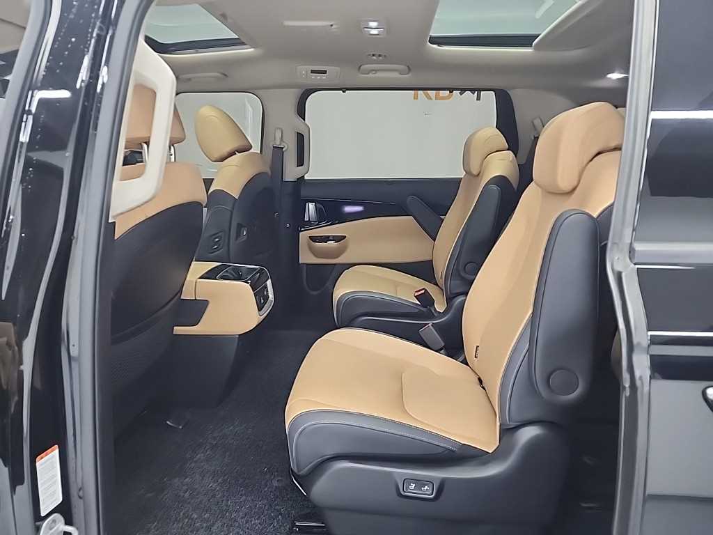 KIA Carnival - Vista 12