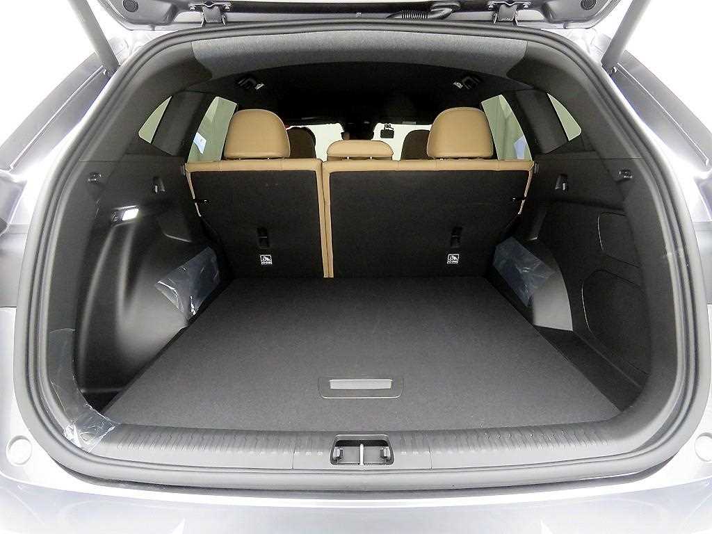 SAMSUNG Grand Koleos - Vista 5