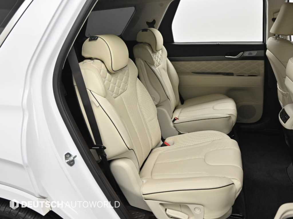 HYUNDAI Palisade - Vista 12