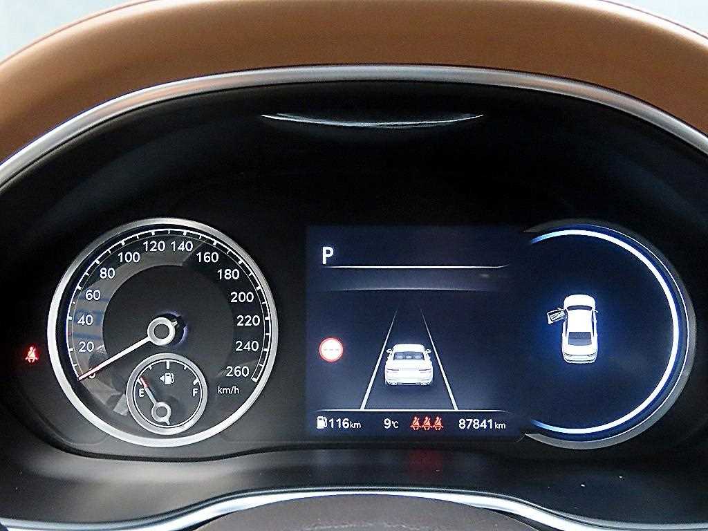 Genesis G80 - Vista 8