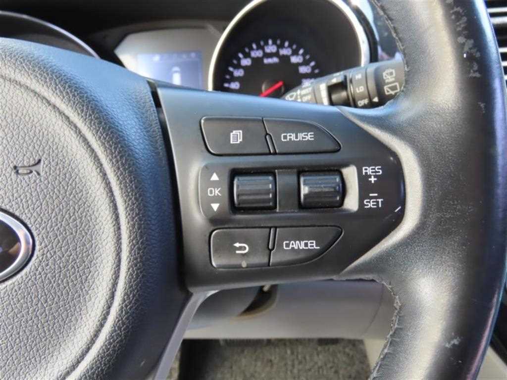 KIA Carnival - Vista 11
