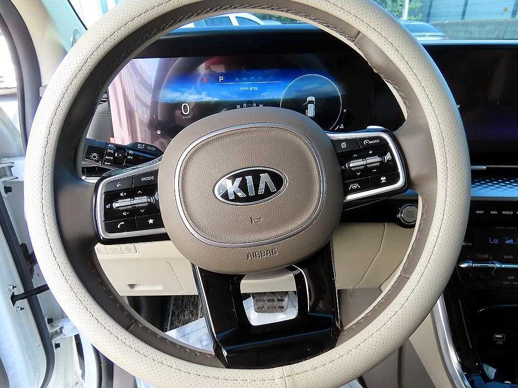 KIA Carnival - Vista 8