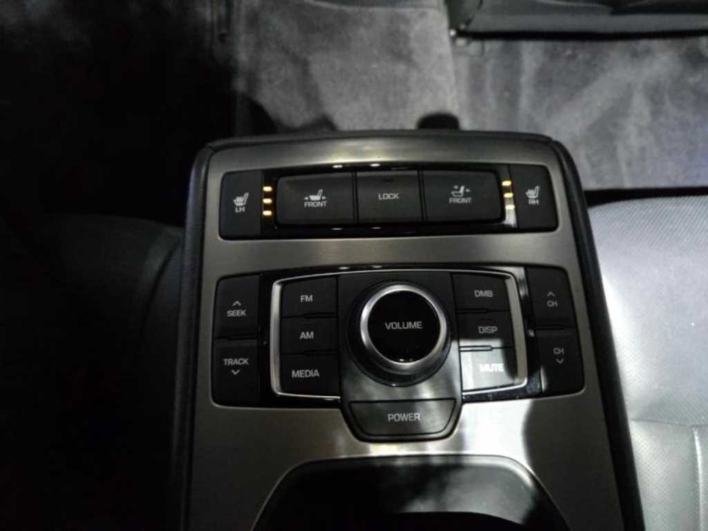 HYUNDAI Genesis - Vista 11