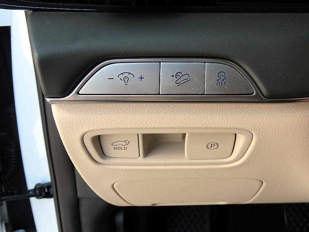 Genesis GV80 - Vista 12