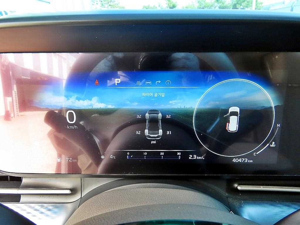 KIA Carnival - Vista 9