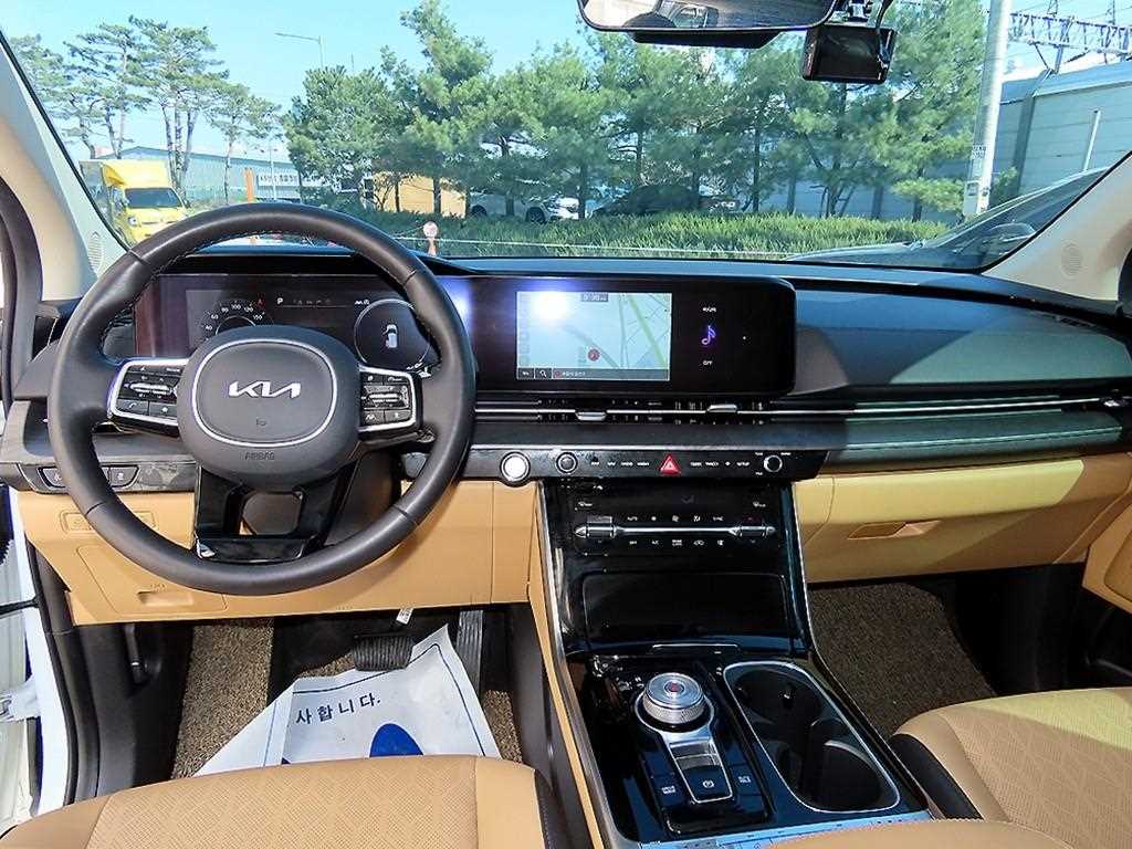 KIA Carnival - Vista 8