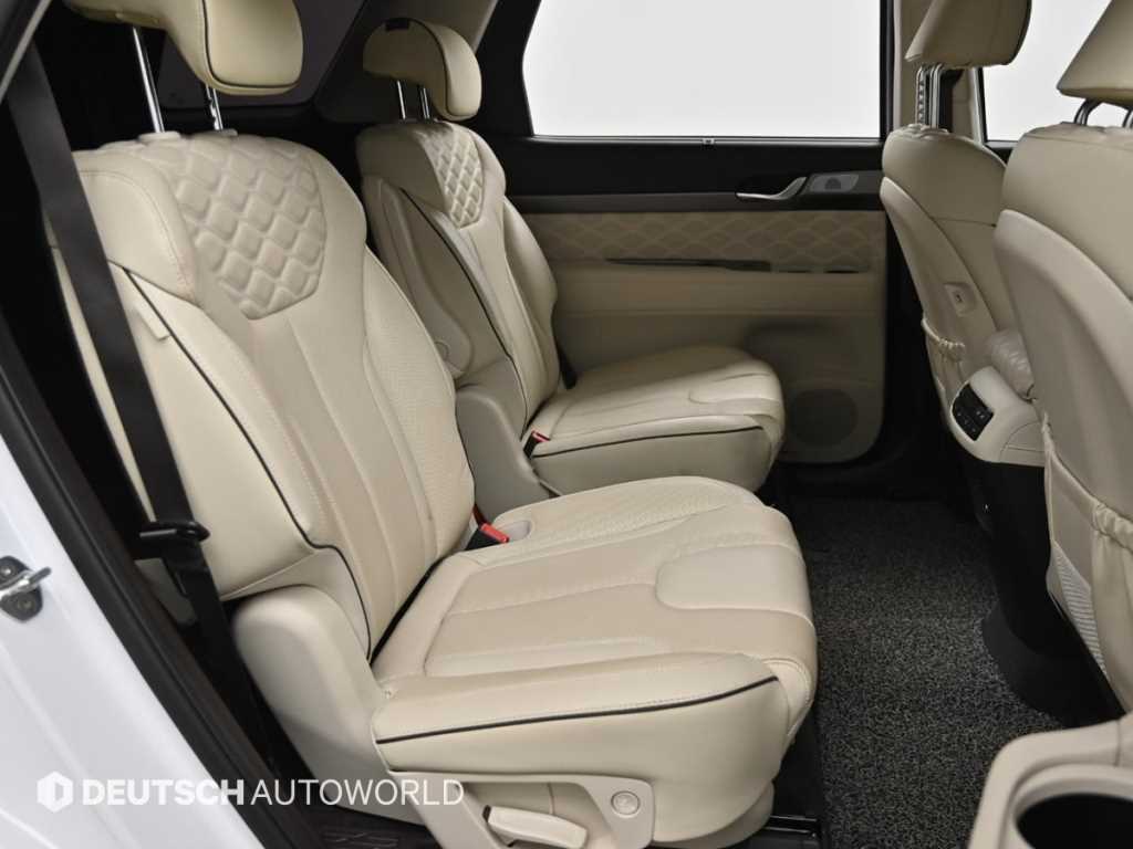 HYUNDAI Palisade - Vista 12