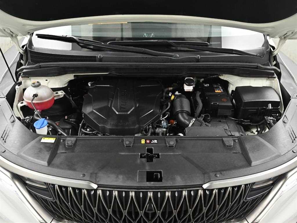 KIA Carnival - Vista 6