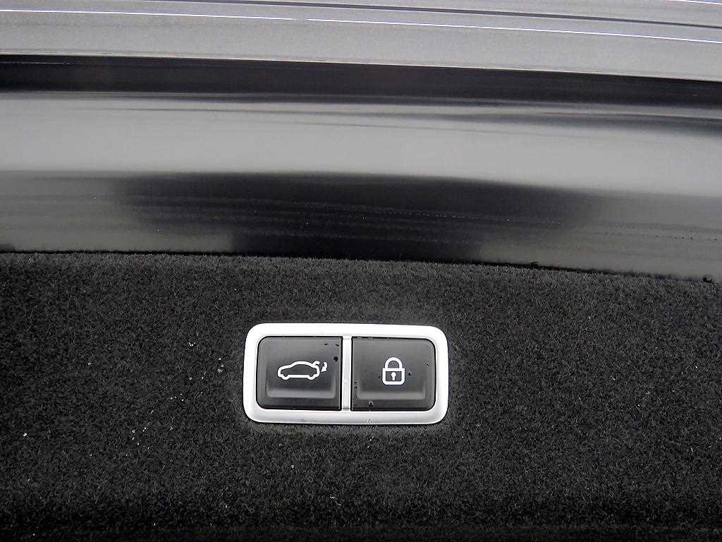 Genesis G90 - Vista 5