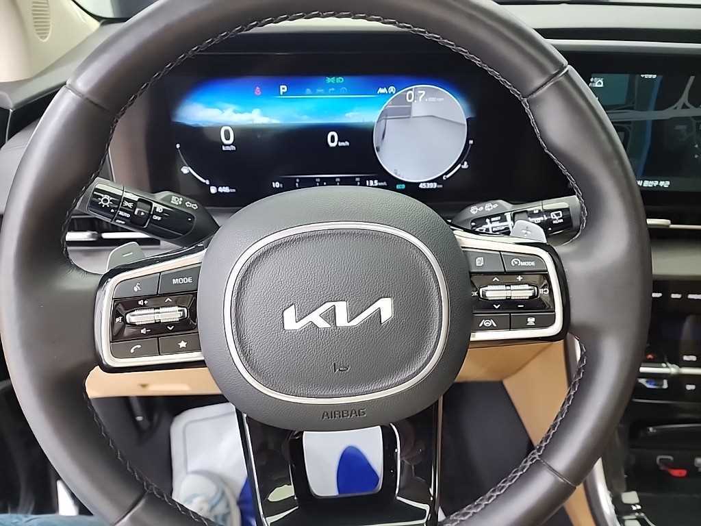 KIA Carnival - Vista 9